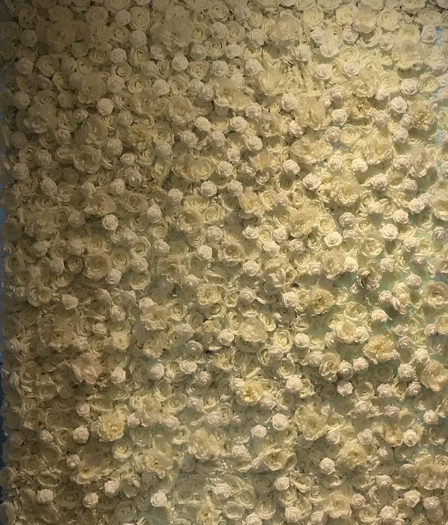 Flower Wall Rentals in Chicago & Suburbs AGS Events